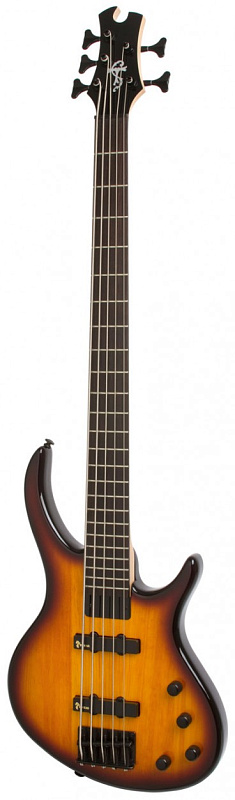 Фото EPIPHONE Toby Deluxe-V Bass (gloss) VS