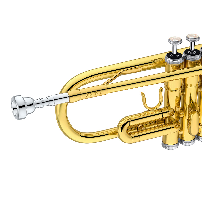 Фото Труба Bb BENNETT BTR - 257L Bb