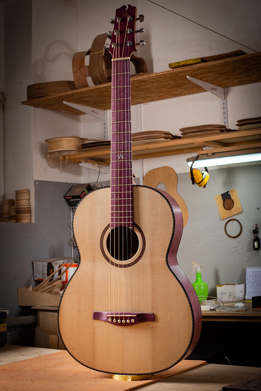 Фото Акустическая гитара NewTone ИРГА 17 S CT N