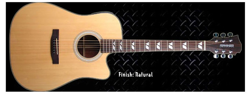 Фото FERNANDES PD18C N