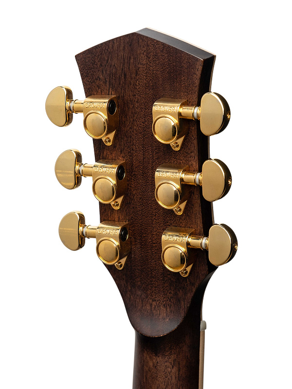 Фото Акустическая гитара Parkwood P820ADK-WCASE-NAT