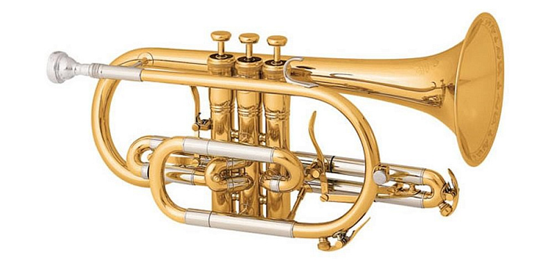 Фото Bb KING 2220