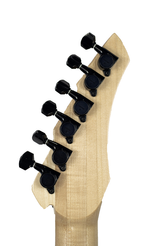 Фото Электрогитара RUSICH GUITARS Spider (black) Titanium edition 27 ладов