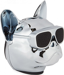 Портативная акустическая система AEROSYSTEM Aerobull NANO Chrome silver