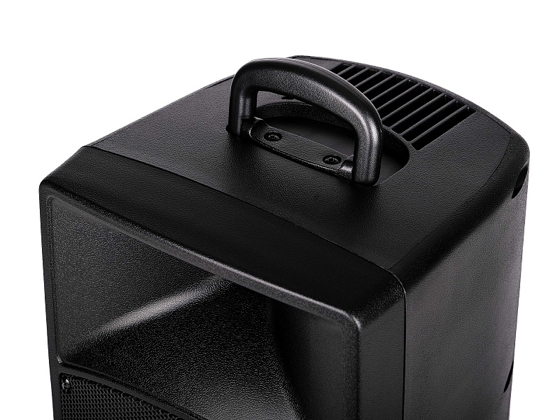 Фото Активная акустическая система Leem PR-8