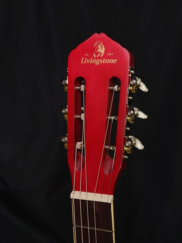 Фото Гитара Livingstone Folkblues RD 39"с вырезом