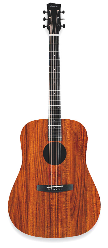 Фото Enya ED-X1+