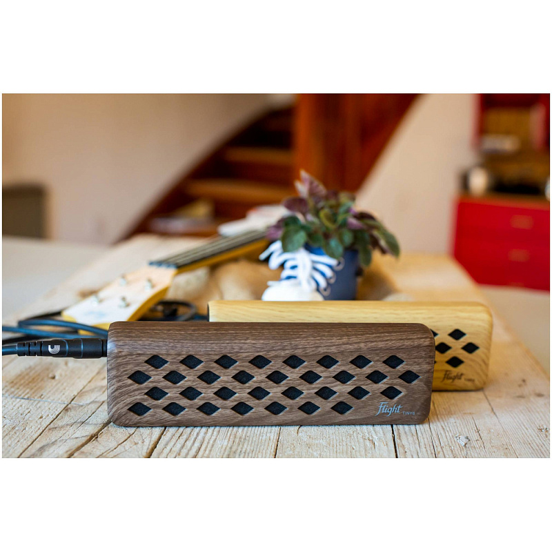 Фото FLIGHT Tiny 6 Walnut - Комбоусилитель для укулеле Флайт