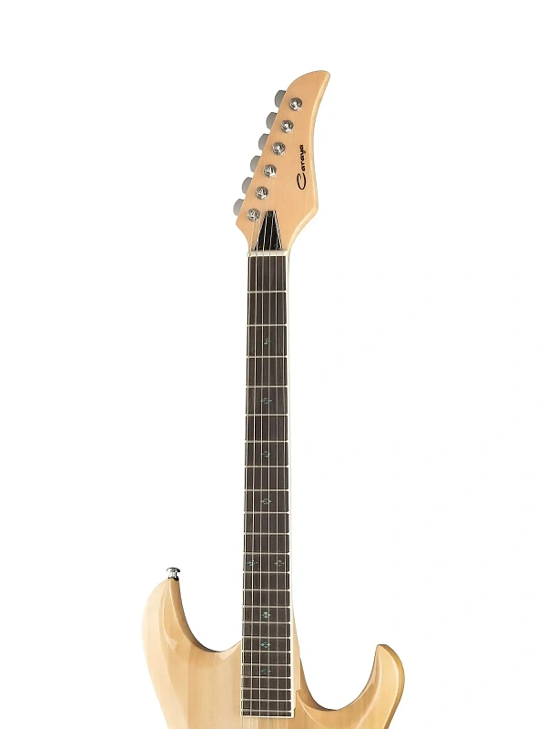 Фото Электрогитара Caraya E226N 