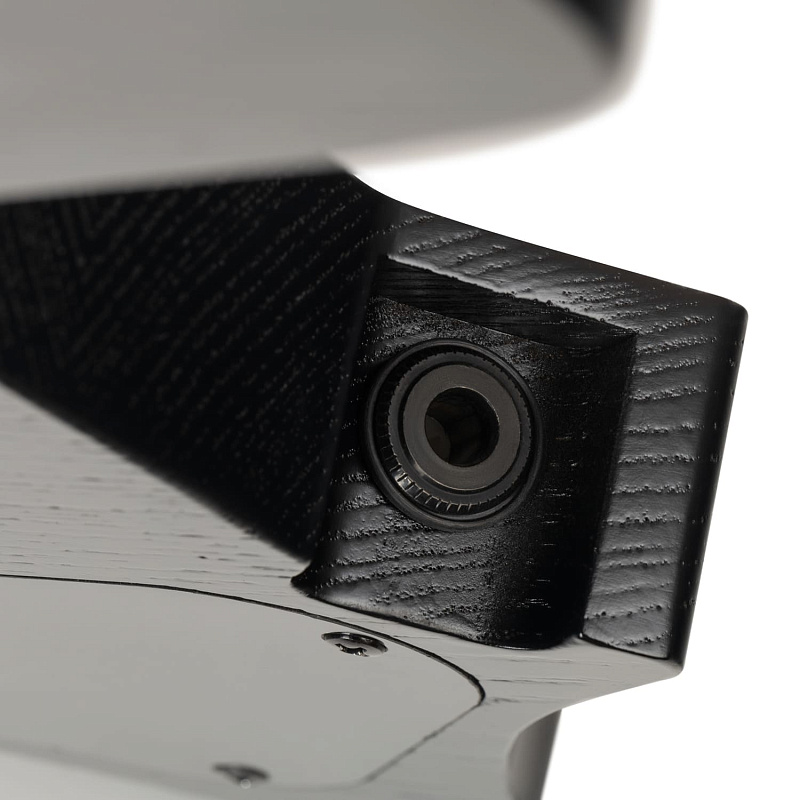 Фото Электрогитара EART GW2 Stealth Black