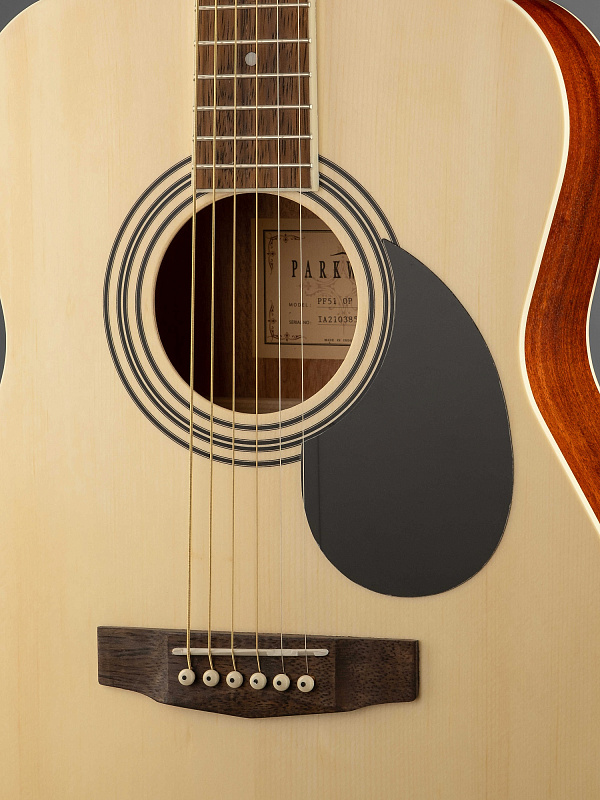 Фото Акустическая гитара Parkwood PF51-WBAG-OP