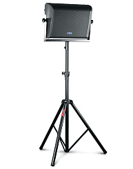 Активный монитор FBT StageMaxX 12MA Black 