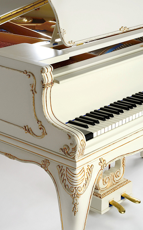 Фото Petrof P 173 Breeze Rococo (0002)