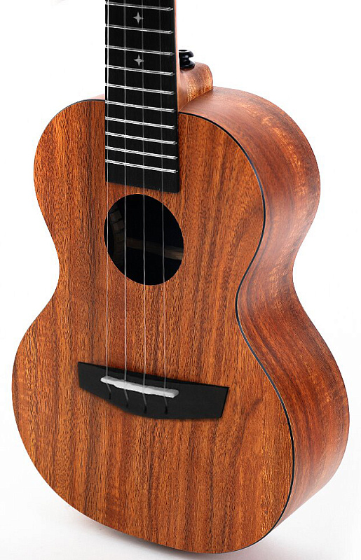 Фото Enya EUC-X1