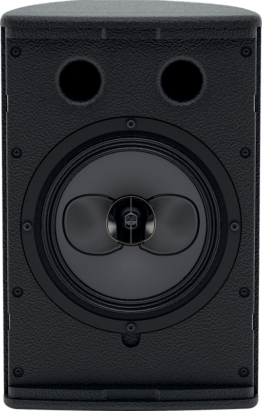 Фото Пассивная акустическая система MARTIN AUDIO CDD6B