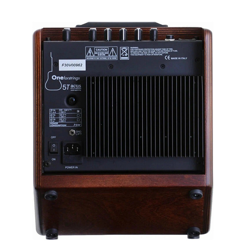 Фото Комбоусилитель акустический Acus One ForStrings 5T Simon WOOD