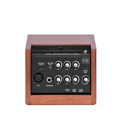 Комбоусилитель акустический Acus One ForStrings 4Ferdi Wood