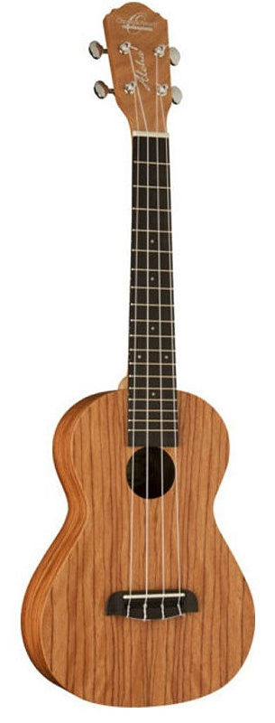 Фото Oscar Schmidt OU320T