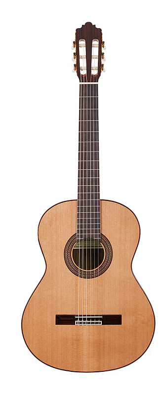 Фото ALTAMIRA N300+