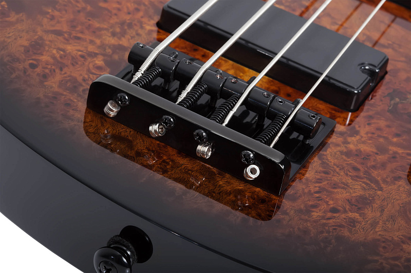 Фото Бас гитара Schecter C-4 STANDARD TB