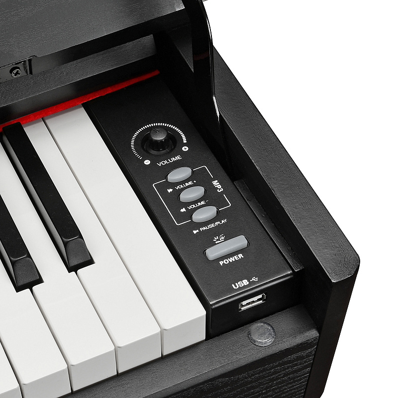 Фото Цифровое фортепиано EMILY PIANO D-52 BK