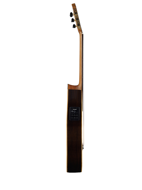 Фото Классическая гитара Martinez MFG-RS-CE Flamenco Series