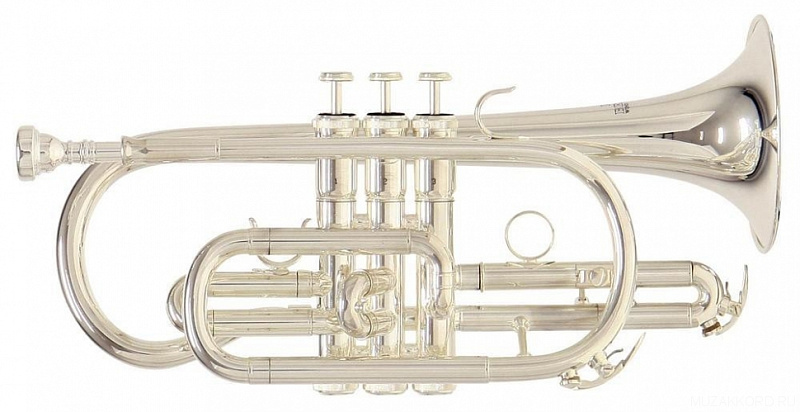 Фото Корнет ROY BENSON СR-202S