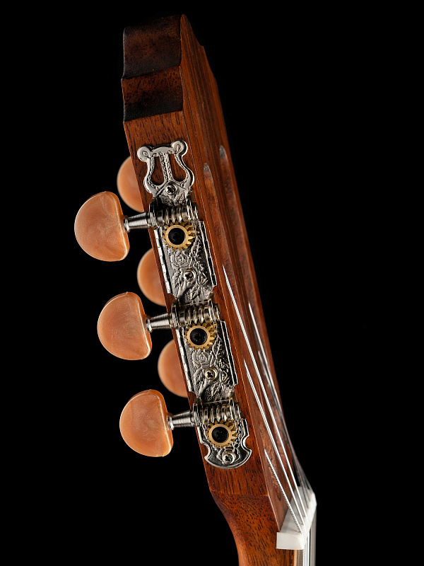 Фото Электро-акустическая Parkwood PC110-WBAG-OP