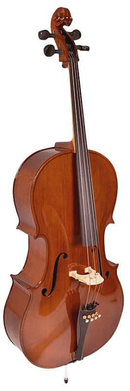 Фото Виолончель студенческая Strunal 40/4H-4/4 