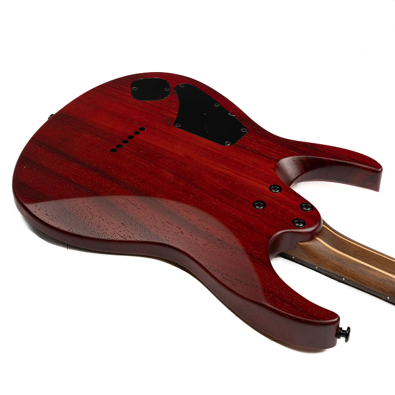 Фото Электрогитара EART EXPLORER-H6 Black