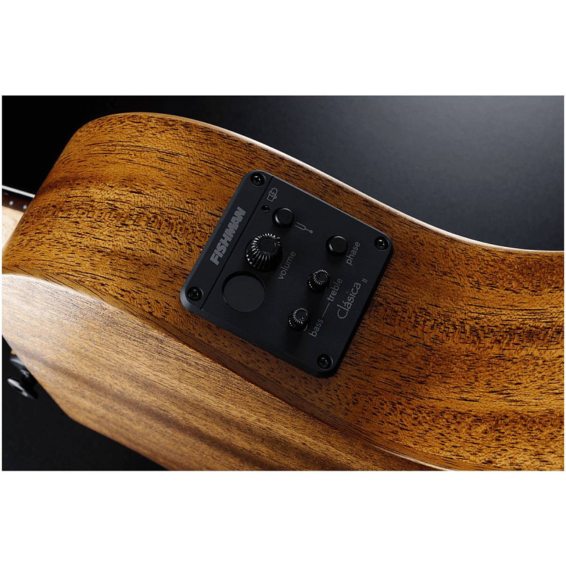 Фото LAG TN-170ASCE - Гитара электроакустическая шестиструнная Лаг