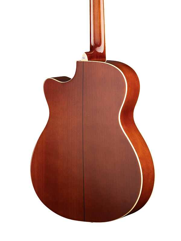 Фото Акустическая гитара Naranda TG220CNA