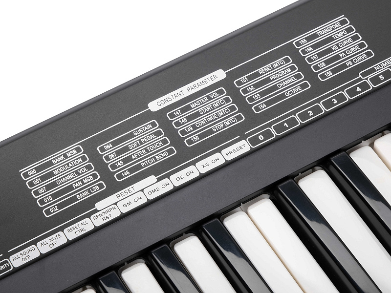 Фото MIDI-контроллер Laudio KS61A