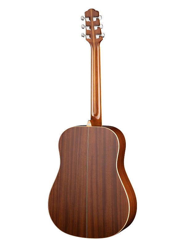 Фото Акустическая гитара Naranda DG305SNA