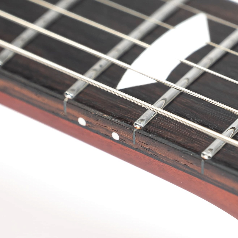 Фото Электрогитара EART EGLP-610 Honey Tea