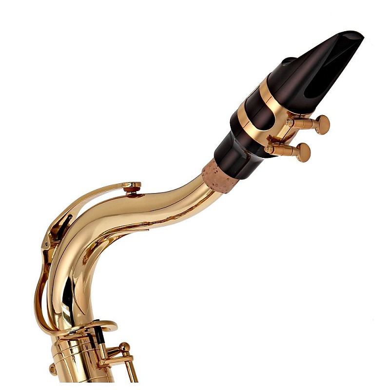 Тенор саксофон Trevor James SR EVO 384SE-KKIM в магазине Music-Hummer