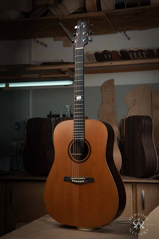 Фото Акустическая гитара NewTone GYPSY ROAD D S N T.V