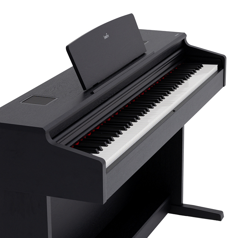 Фото Цифровое пианино Emotive Hammerpiano 3 BK