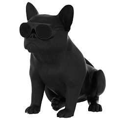 Портативная акустическая система AEROSYSTEM Aerobull XS1 Matt black