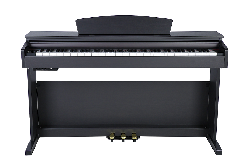 Фото Цифровое фортепиано Artesia A100 SR