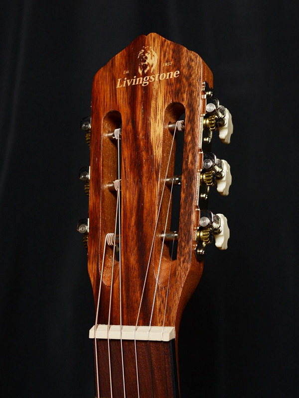 Фото Гитара Livingstone Folkblues NS EQ 39" с вырезом