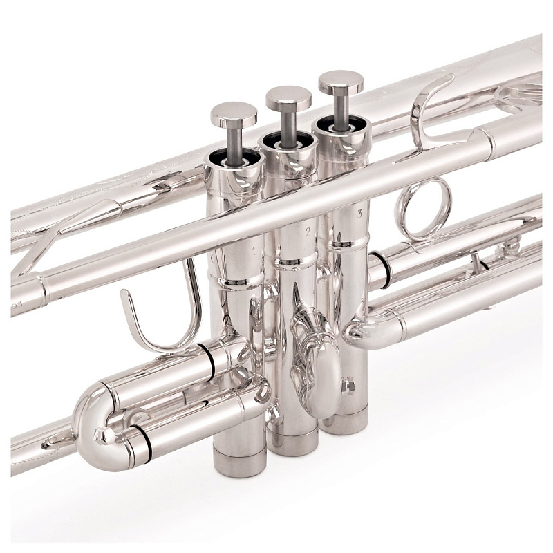 Фото Trevor James Renaissance TJTR8500SP Bb