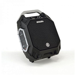 Активная акустическая система ANT iROLLER 8