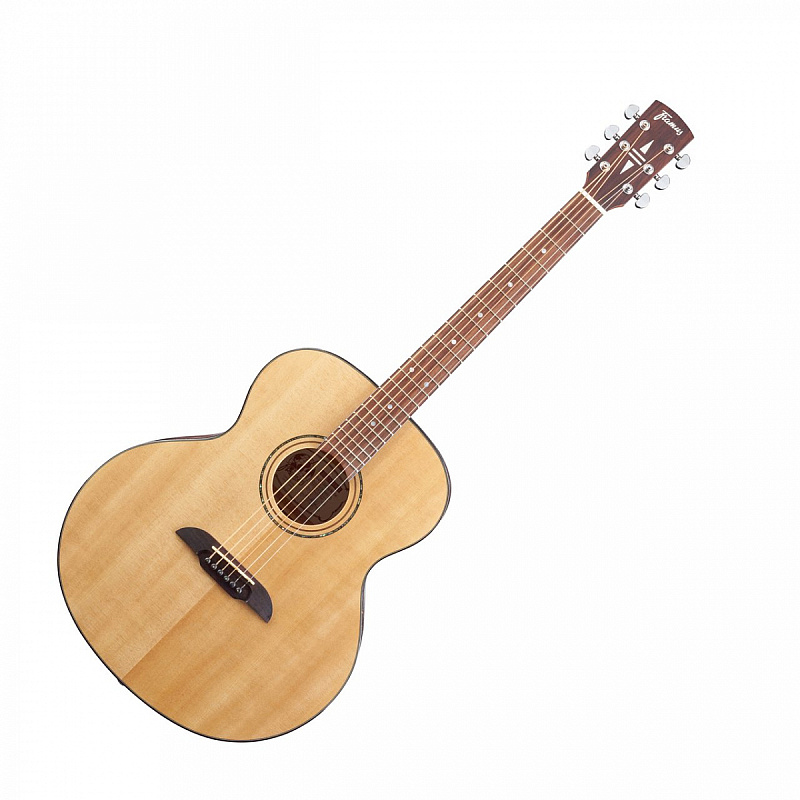 Фото Framus FG 14 SV VNT