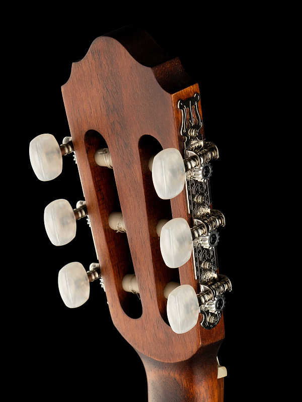 Фото Классическая гитара Parkwood PC75-WBAG-OP